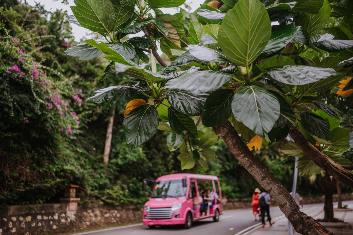 Complete Guide to Private Transportation in Costa Rica (2026)